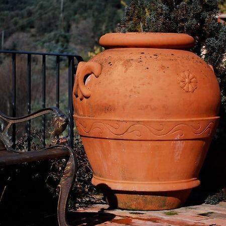 Conca Di Sopra Home Corsanico-Bargecchia Buitenkant foto