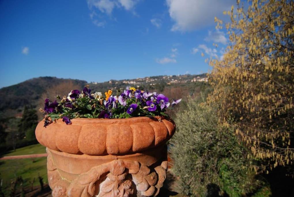 Conca Di Sopra Home Corsanico-Bargecchia Buitenkant foto