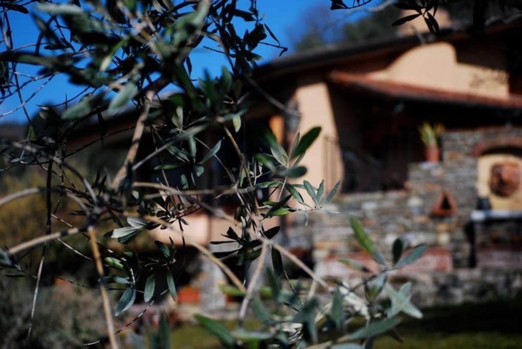 Conca Di Sopra Home Corsanico-Bargecchia Buitenkant foto